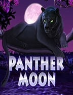 ทดลองเล่น ฝาก ถอน ผ่าน wallet แบบง่ายๆ สไตล์มือใหม่